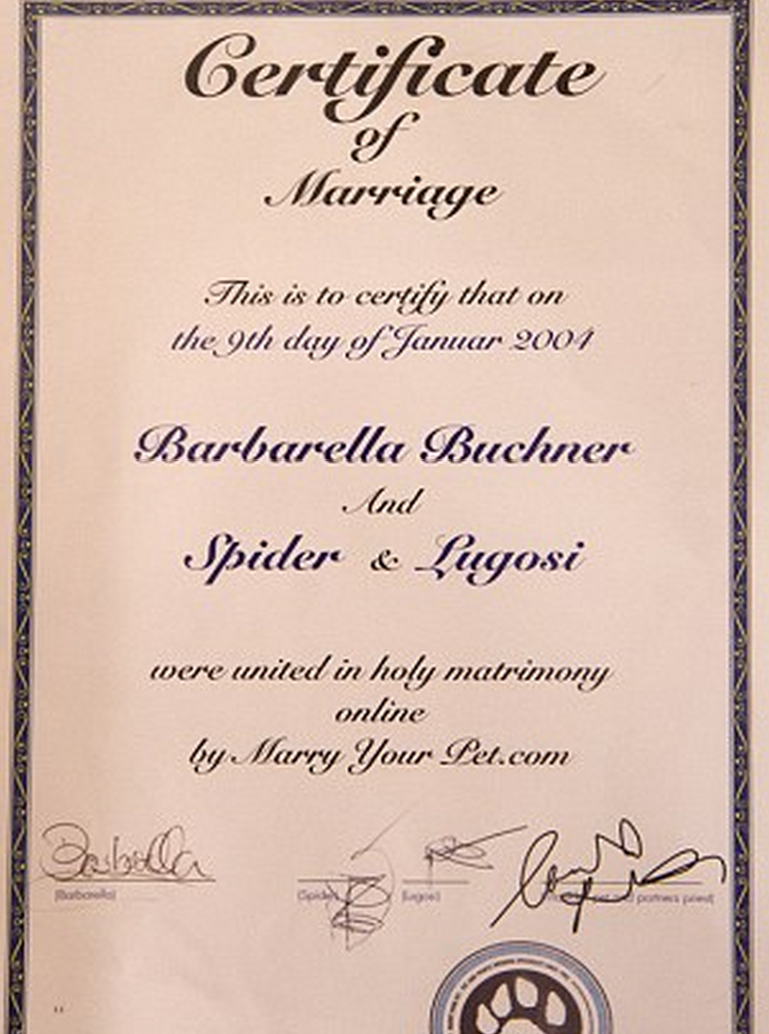certificate.jpg