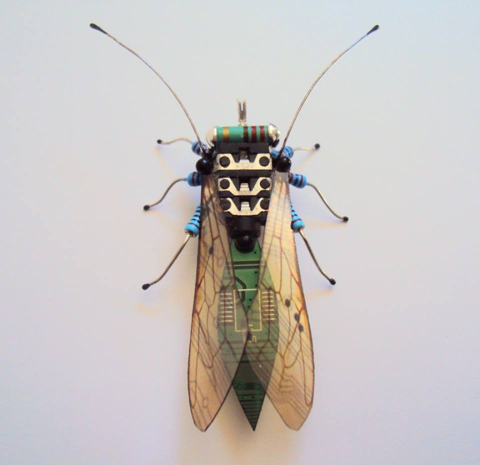 chappell-5.jpg