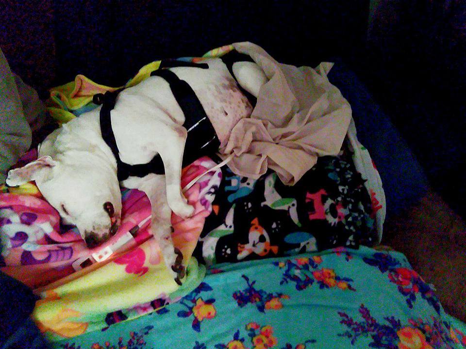 cherie-12.jpg