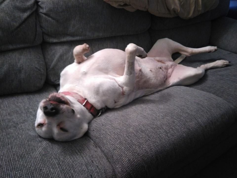 cherie-4.jpg