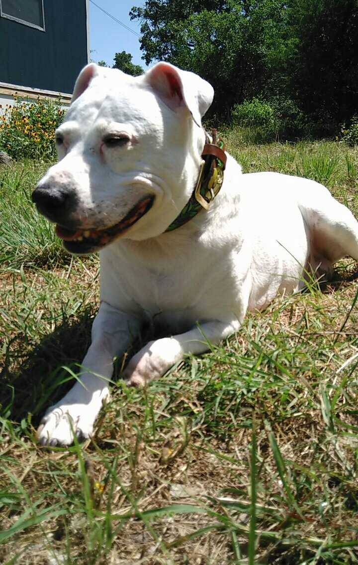 cherie-7.jpg