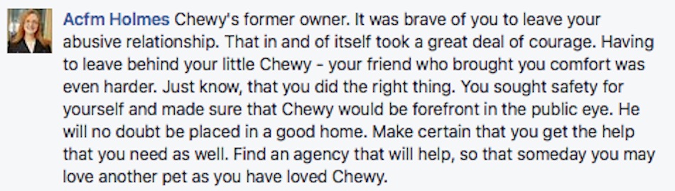 chewy-6.jpg
