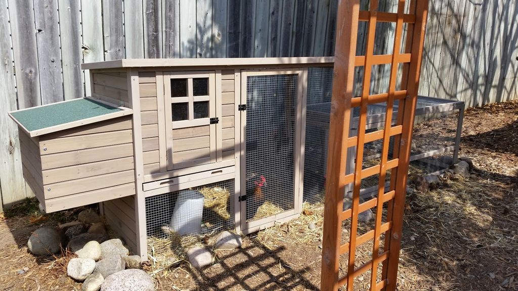 chicken-coop-1.jpg