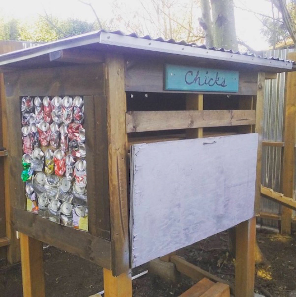 chicken-coop-10.jpg