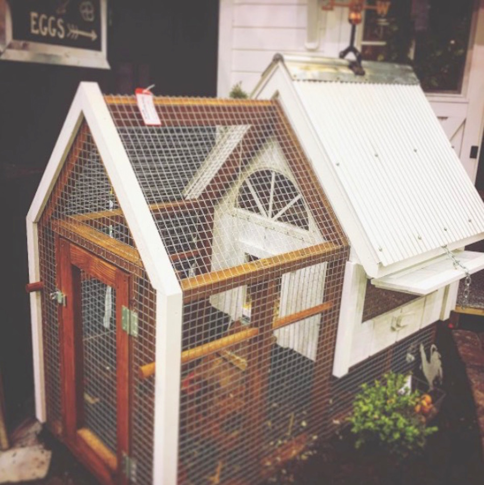 chicken-coop-11.jpg