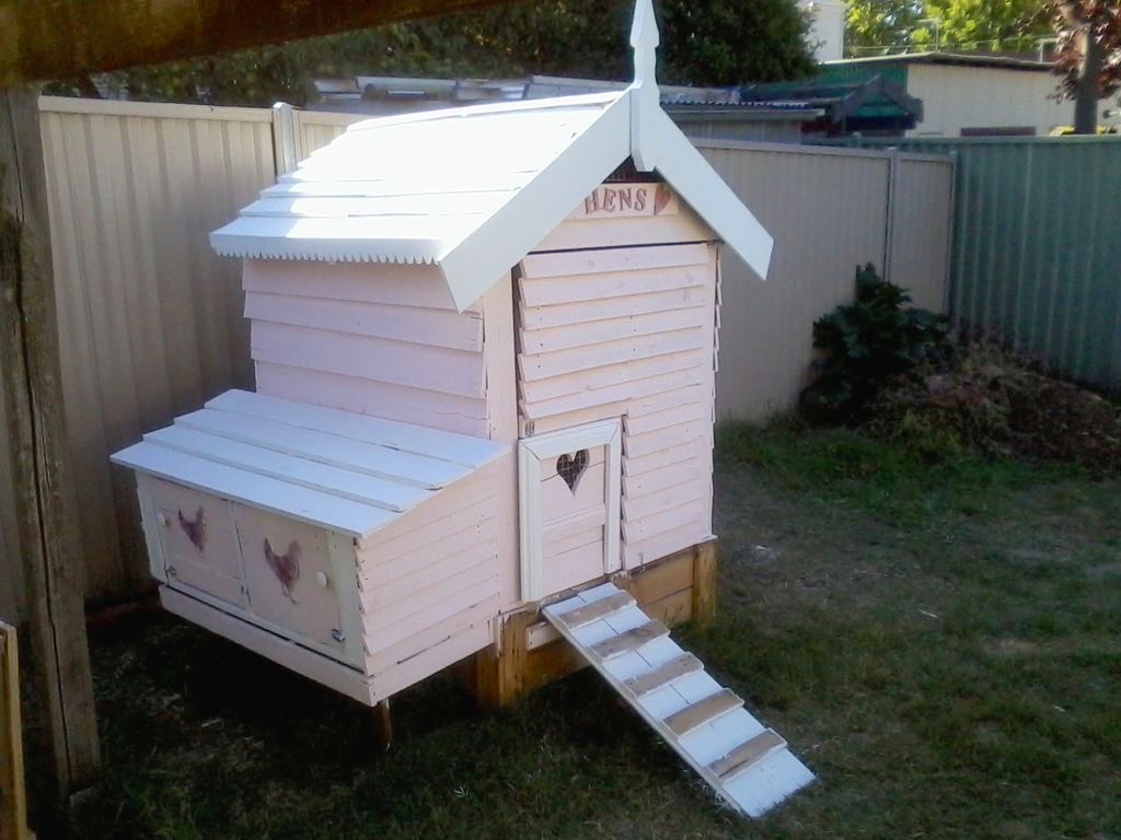 chicken-coop-5.jpg