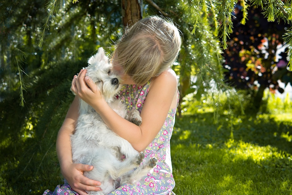 child-girl-dog-small-dog-161021.jpg
