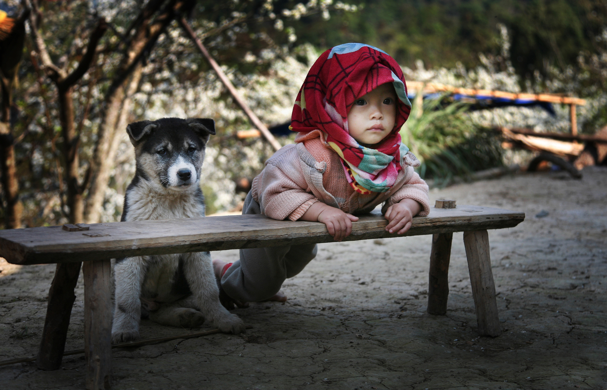childog.jpg