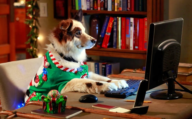 christmas-sweaters-dog-with-a-blog.jpg christmas-sweaters-dog-with-a-blog.jpg