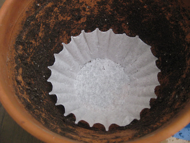 coffee-filter-hack-5.jpg