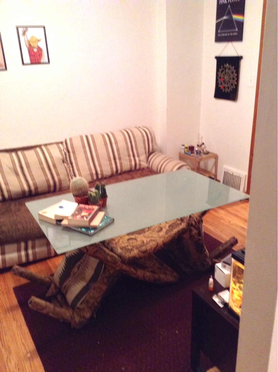 coffee-table.jpg