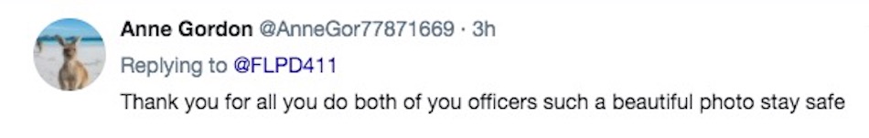 comment-5.jpg