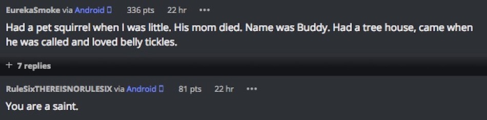 comments-4.jpg