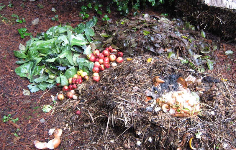 compost-6.jpg
