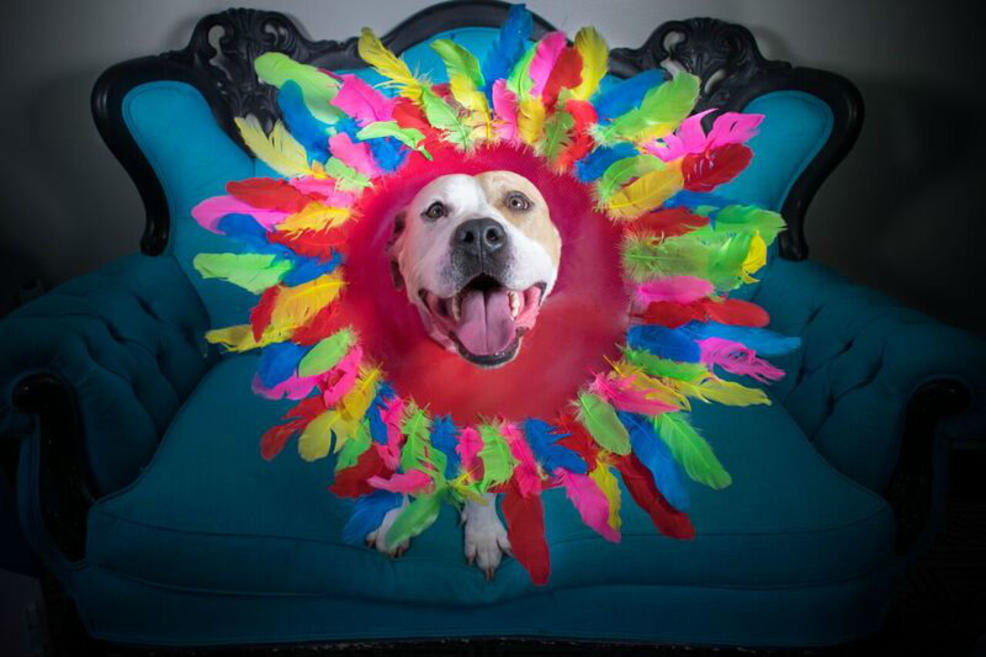 cones_of_fame_4.jpg