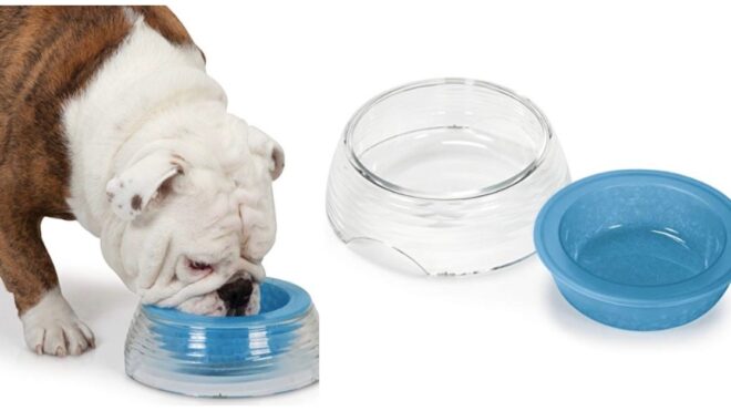 cooling-dog-bowl