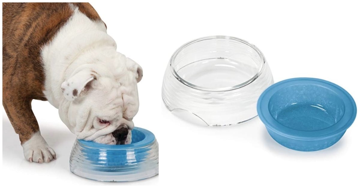 cooling-dog-bowl