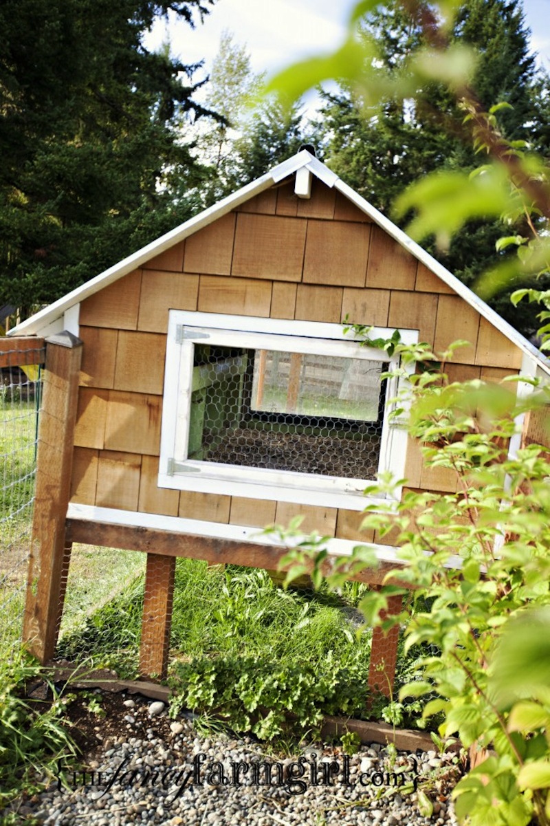 coop-311-682x1024-1.jpg
