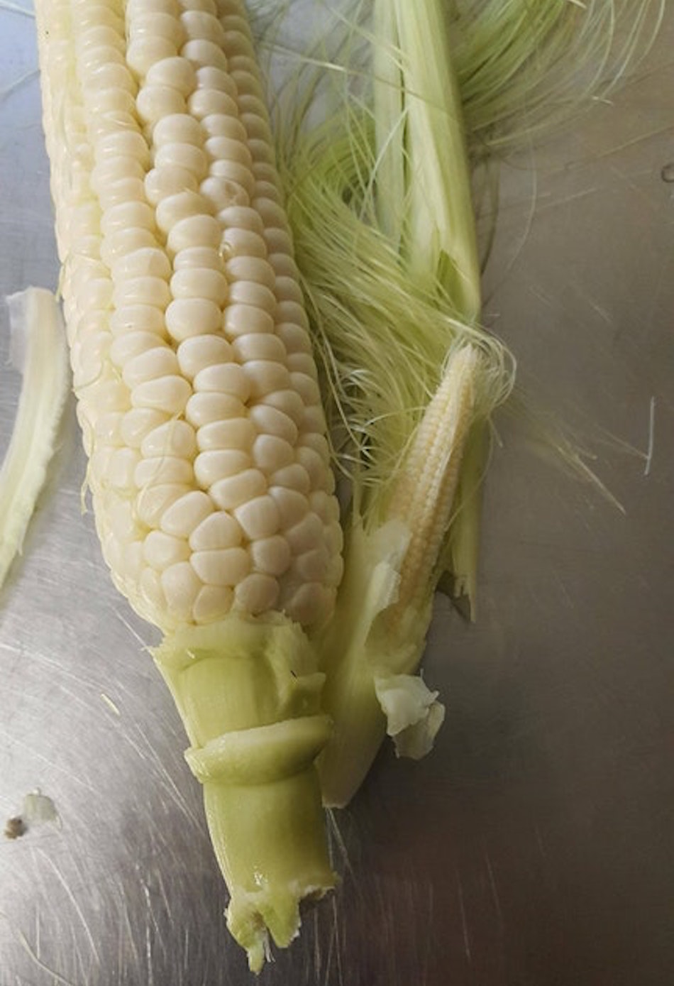 corn-1-1.jpg