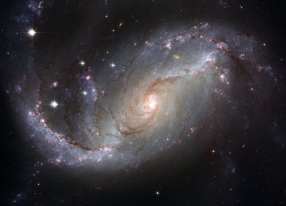 cosmos.jpg