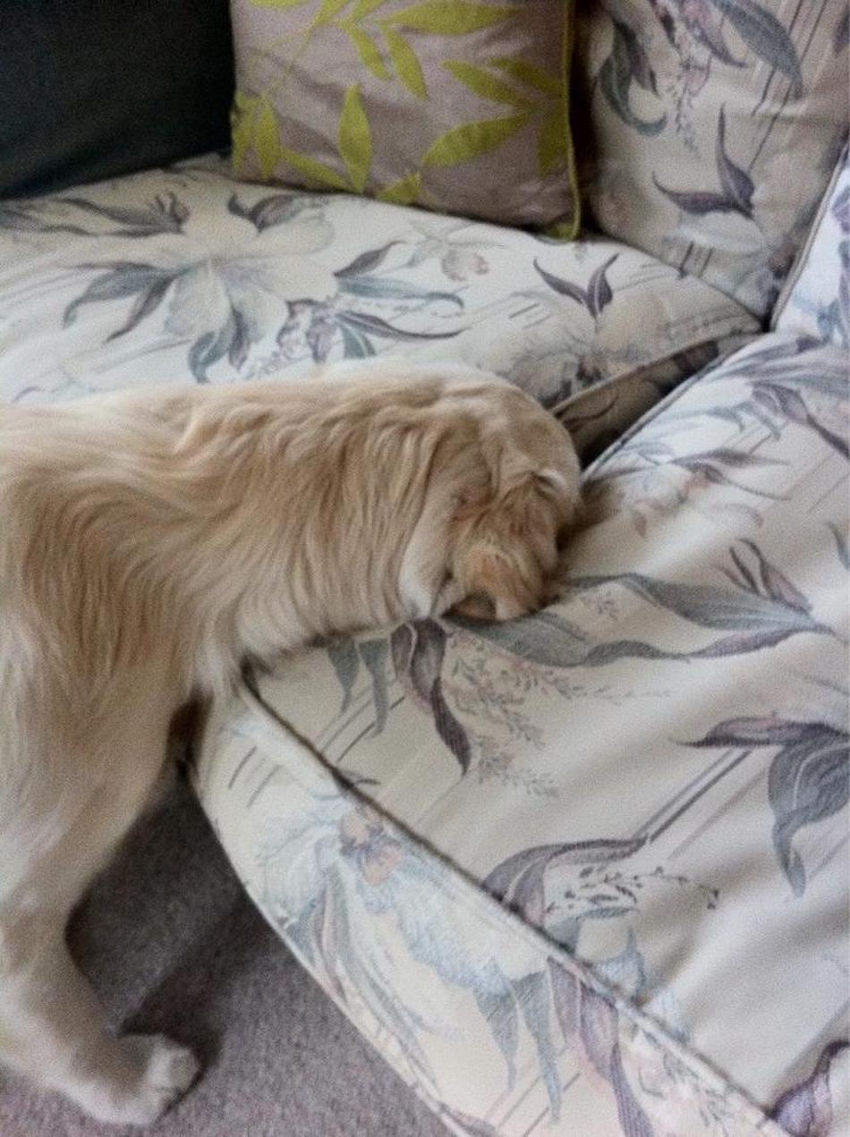 couch-1.jpg