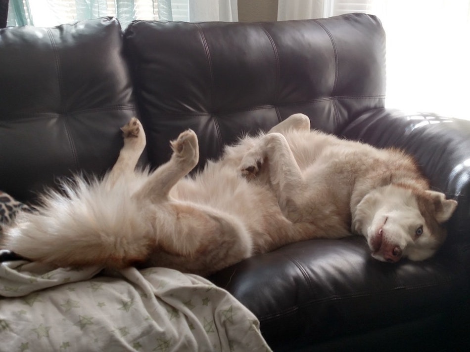 couch-2-1.jpg