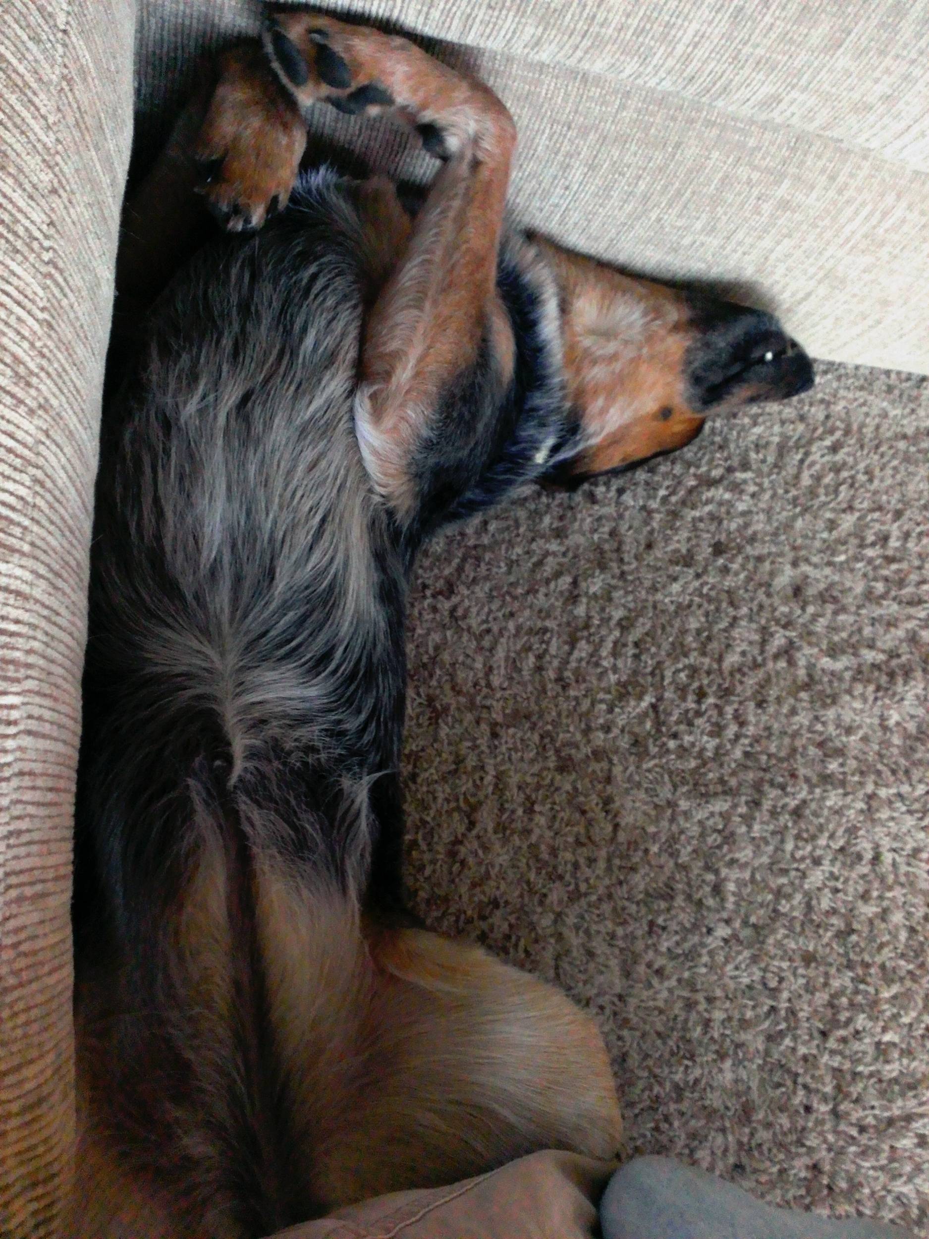 couch1.jpg