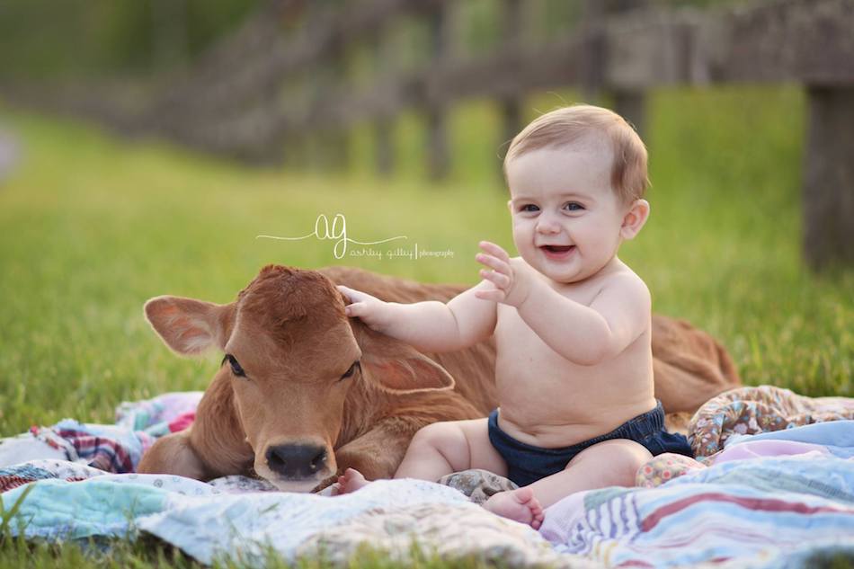 cow-baby-2.jpg