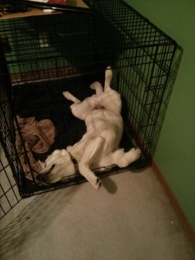 crate-1.jpg