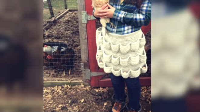 crochet-apron-chicken-eggs