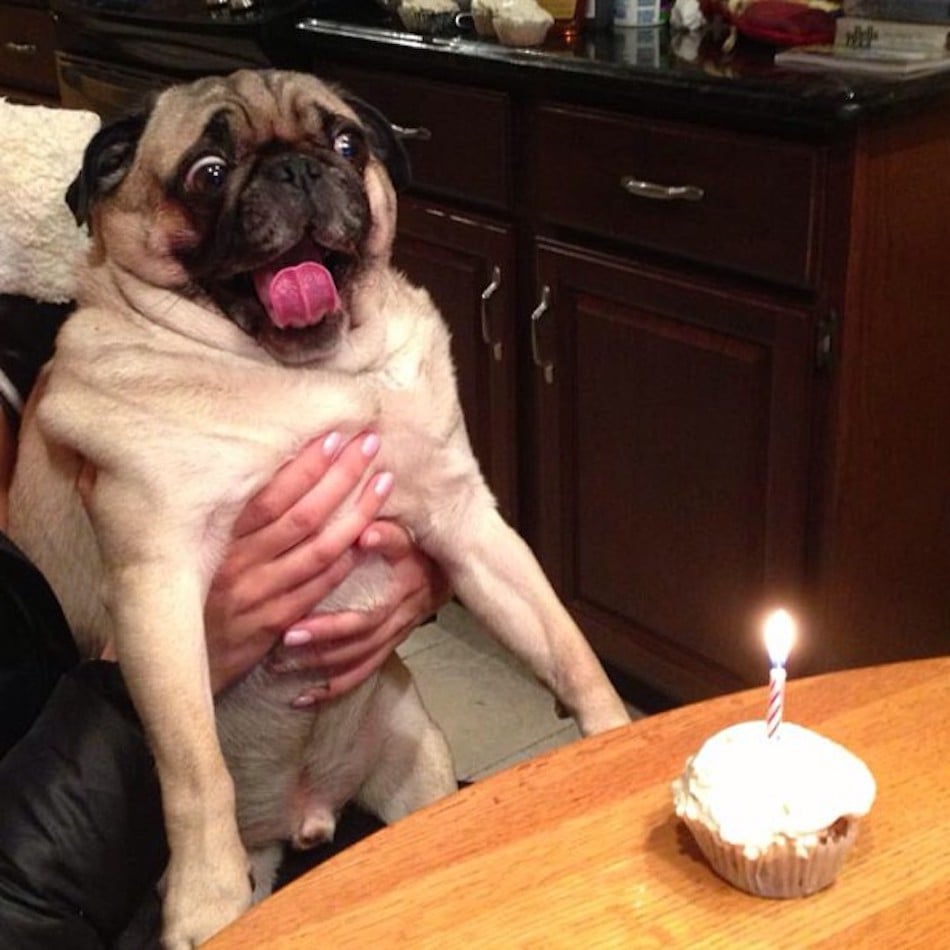 cupcake-1.jpg