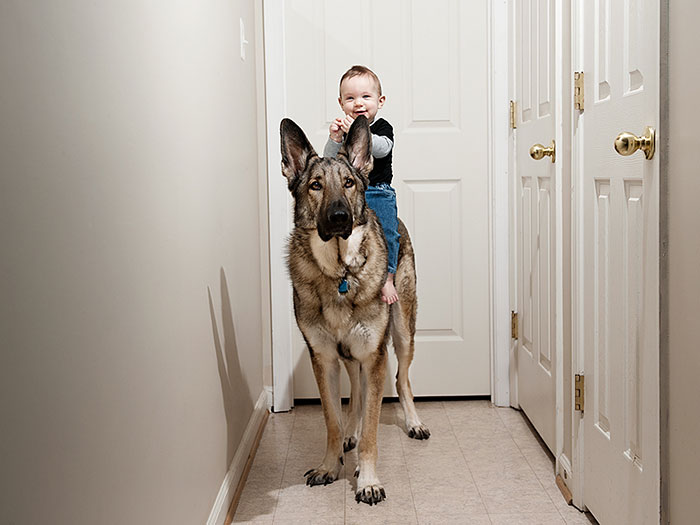 cute-big-dogs-and-babies-14.jpg