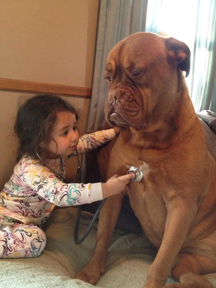 cute-big-dogs-and-babies-17.jpg