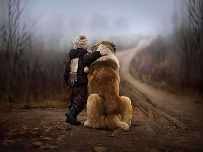 cute-big-dogs-and-babies-20.jpg