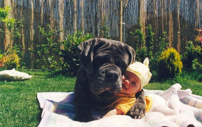 cute-big-dogs-and-babies-3.jpg