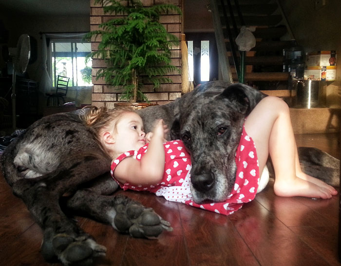 cute-big-dogs-and-babies-5.jpg