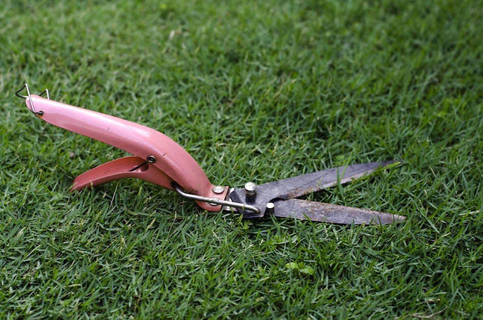 cutting-grass.jpg cutting-grass.jpg
