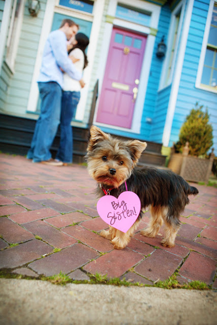 dc-creative-photographer-1.jpg
