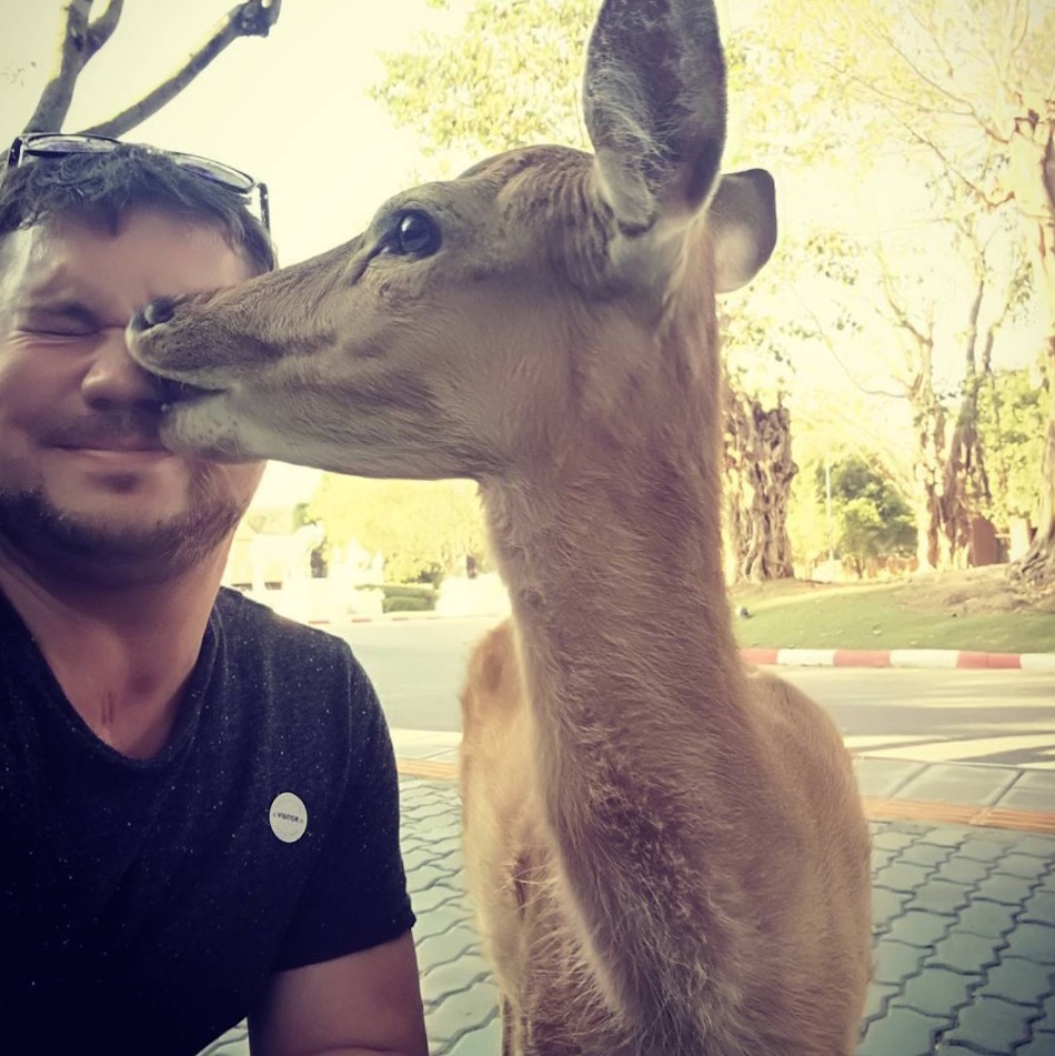 deer-kiss.jpg