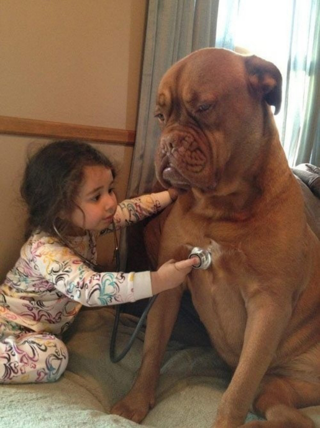 dgsgw-dogs-kids1.jpg
