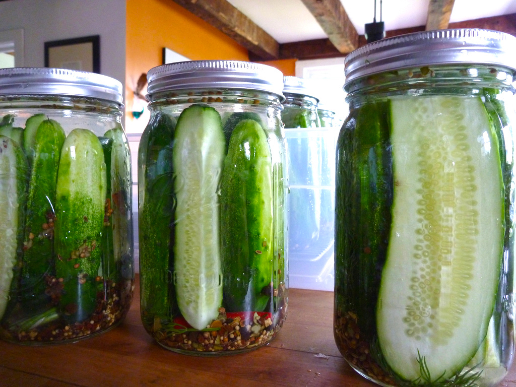 Dill pickles - Filled jars