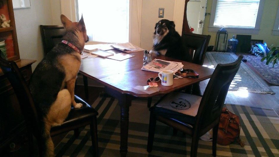 dining-table.jpg