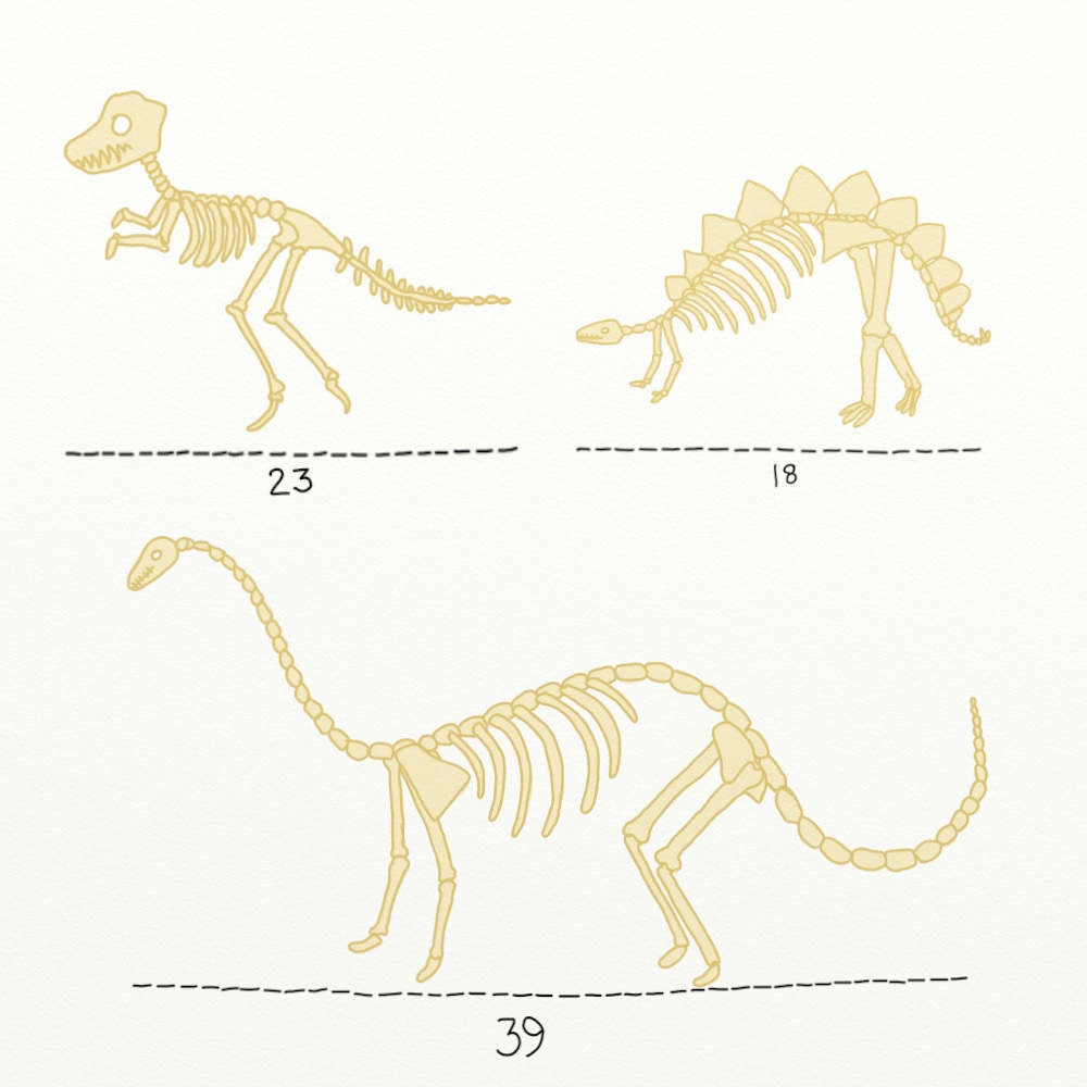 dino-1.jpeg