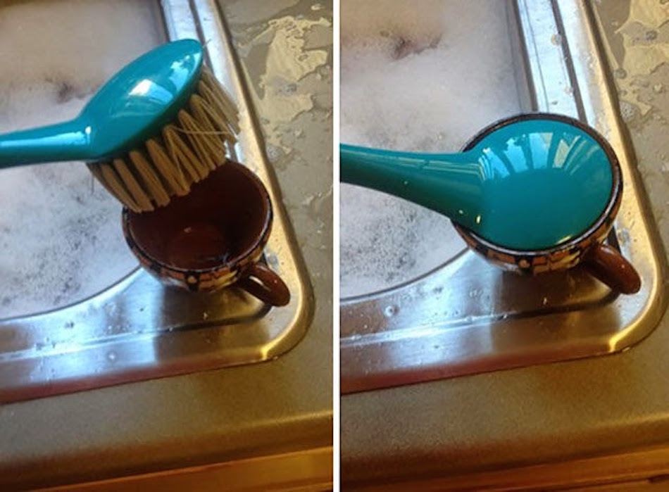 dish-brush.jpg