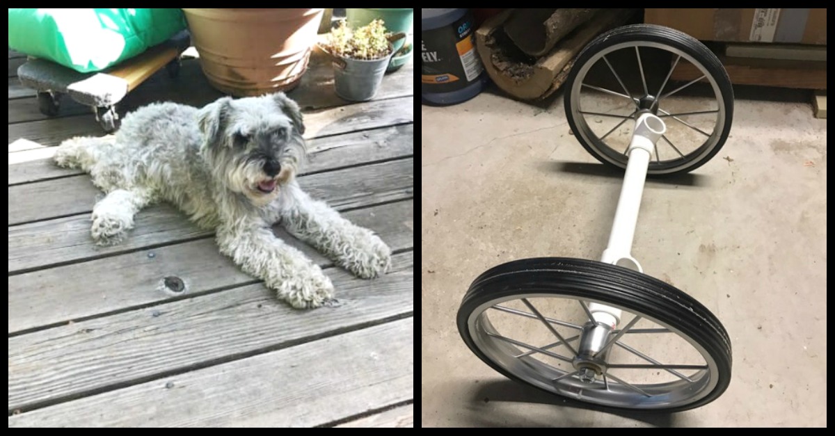 diy-dog-wheelchair