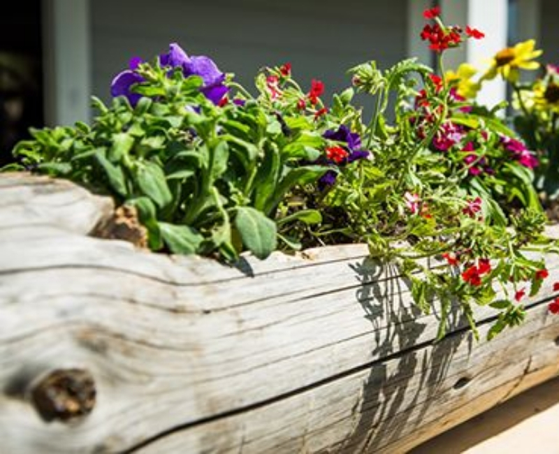 diy-projects-2.jpg