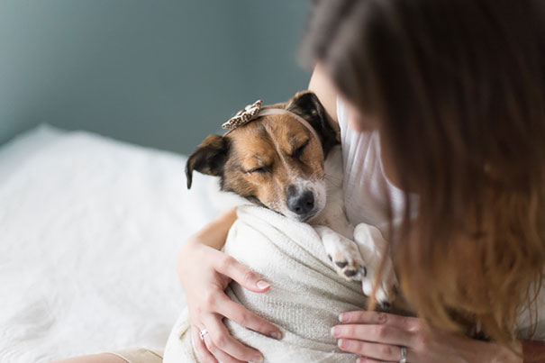 dog-baby-photos-snuggles-count-it-joy-jamie-clauss-1.jpg