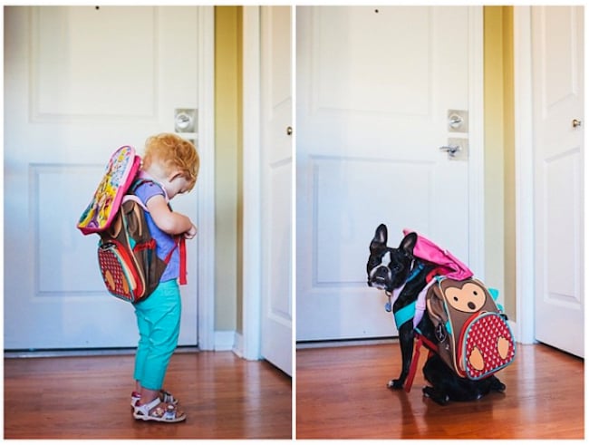 dog-baby-twins-11.jpg