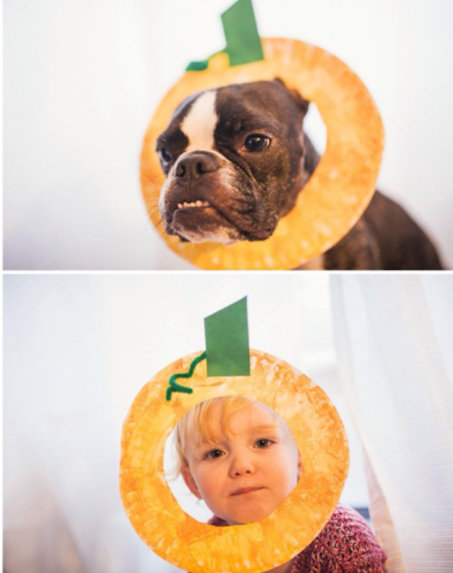 dog-baby-twins-4.jpg
