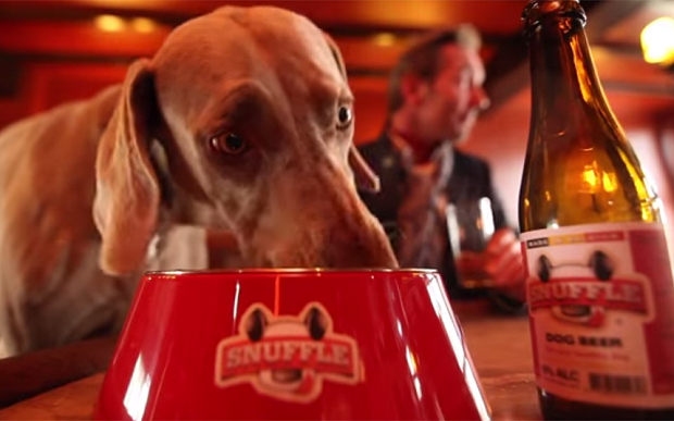 dog-beer1_3169431b1.jpg